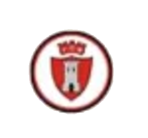 Logo FC Seronnais