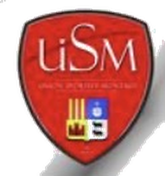 Logo Montaut US