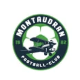Logo Toulouse Montaudran F.C.