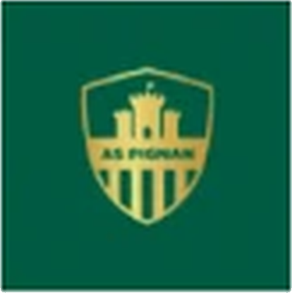 Logo Pignan AS
