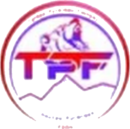 Logo Tarbes Pyrenees Foot 2